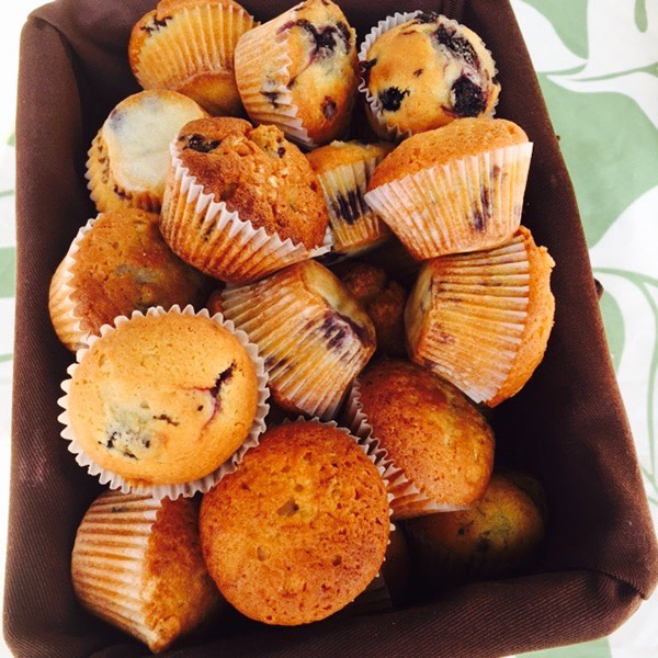 Breakfast Pastries - Muffins